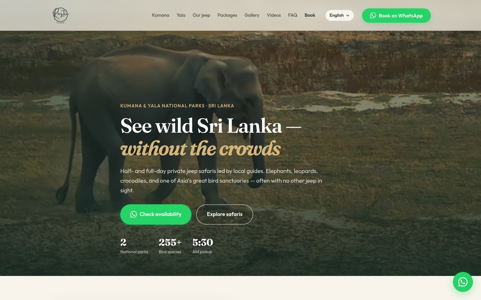 Rustic Safari website preview